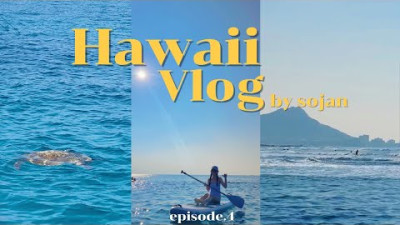 하와이 브이로그 ep.4 하와이에서 인생 노을 보려면 가는 곳 | 거북이스노쿨링 | 마루가메우동 | 하와이브런치카페 | 알라모아나 공원